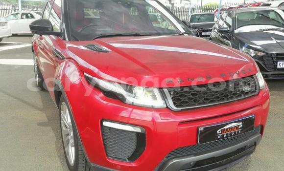 Buy Used Land Rover Range Rover Evoque Red Car in Blantyre in Malawi Buy Used Land Rover Range Rover Evoque Red Car in Blantyre in Malawi
