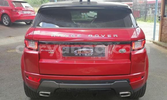 Nunua Ilio tumika Land Rover Range Rover Evoque Red Gari ndani ya Blantyre nchini Malawi Nunua Ilio tumika Land Rover Range Rover Evoque Red Gari ndani ya Blantyre nchini Malawi