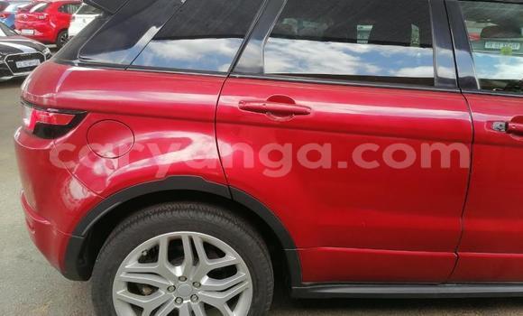 Nunua Ilio tumika Land Rover Range Rover Evoque Red Gari ndani ya Blantyre nchini Malawi Nunua Ilio tumika Land Rover Range Rover Evoque Red Gari ndani ya Blantyre nchini Malawi