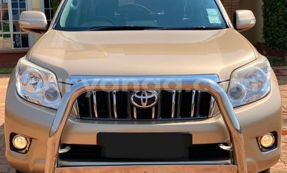 Nunua Ilio tumika Toyota Land Cruiser Prado Brown Gari ndani ya Blantyre nchini Malawi Nunua Ilio tumika Toyota Land Cruiser Prado Brown Gari ndani ya Blantyre nchini Malawi