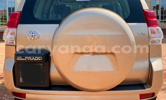 Nunua Ilio tumika Toyota Land Cruiser Prado Brown Gari ndani ya Blantyre nchini Malawi Nunua Ilio tumika Toyota Land Cruiser Prado Brown Gari ndani ya Blantyre nchini Malawi
