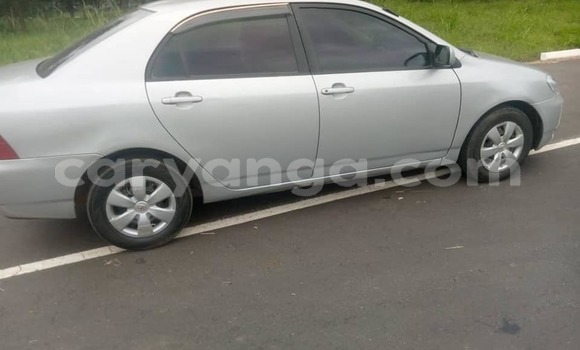 Buy Used Toyota Corolla Silver Car in Lilongwe in Malawi Buy Used Toyota Corolla Silver Car in Lilongwe in Malawi