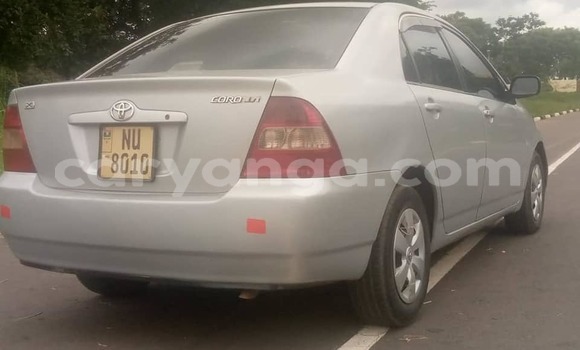 Buy Used Toyota Corolla Silver Car in Lilongwe in Malawi Buy Used Toyota Corolla Silver Car in Lilongwe in Malawi