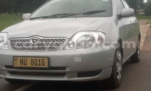 Buy Used Toyota Corolla Silver Car in Lilongwe in Malawi Buy Used Toyota Corolla Silver Car in Lilongwe in Malawi