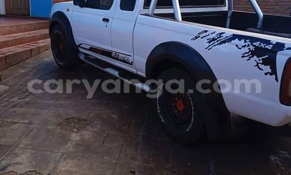 Buy Used Nissan Hardbody White Car in Blantyre in Malawi