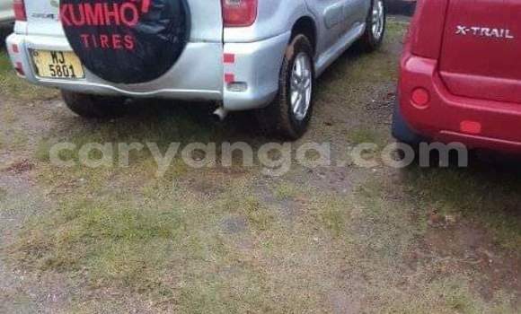 Acheter Occasion Voiture Toyota RAV4 Gris à Blantyre, Malawi Acheter Occasion Voiture Toyota RAV4 Gris à Blantyre, Malawi