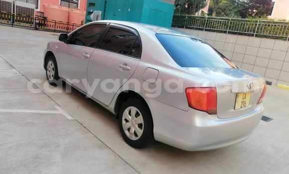 Acheter Occasion Voiture Toyota Axio Gris à Blantyre, Malawi Acheter Occasion Voiture Toyota Axio Gris à Blantyre, Malawi