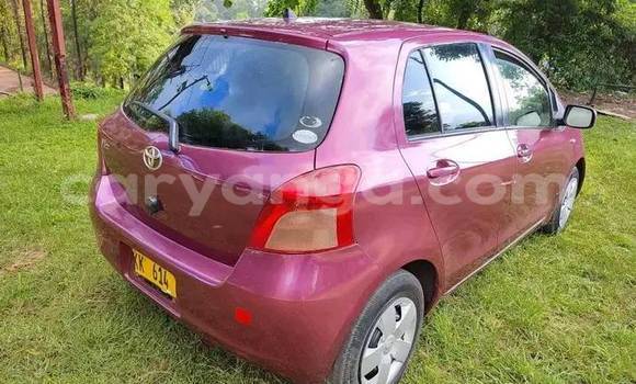 Buy Used Toyota Vitz Red Car in Blantyre in Malawi Buy Used Toyota Vitz Red Car in Blantyre in Malawi