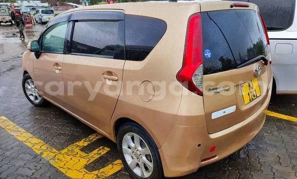 Buy Used Toyota Passo Brown Car in Blantyre in Malawi Buy Used Toyota Passo Brown Car in Blantyre in Malawi
