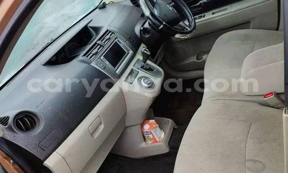 Buy Used Toyota Passo Brown Car in Blantyre in Malawi Buy Used Toyota Passo Brown Car in Blantyre in Malawi