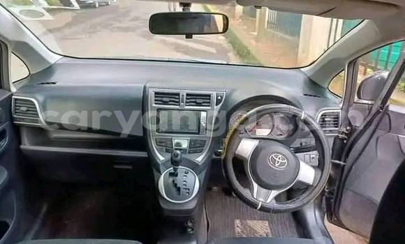 Buy Used Toyota Ractis Black Car in Blantyre in Malawi Buy Used Toyota Ractis Black Car in Blantyre in Malawi