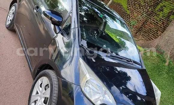 Buy Used Toyota Ractis Black Car in Blantyre in Malawi Buy Used Toyota Ractis Black Car in Blantyre in Malawi
