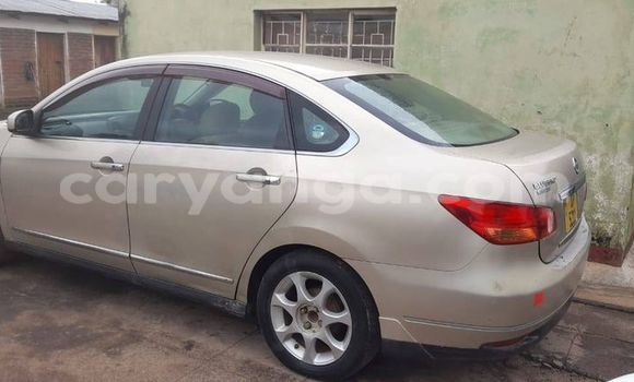 Buy Used Nissan Bluebird Brown Car in Blantyre in Malawi Buy Used Nissan Bluebird Brown Car in Blantyre in Malawi