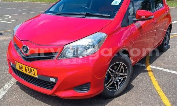 Buy Used Toyota Vitz Red Car in Blantyre in Malawi Buy Used Toyota Vitz Red Car in Blantyre in Malawi