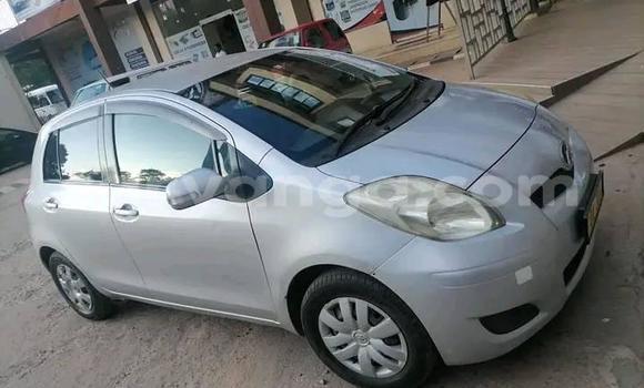 Buy Used Toyota Vitz Silver Car in Blantyre in Malawi Buy Used Toyota Vitz Silver Car in Blantyre in Malawi