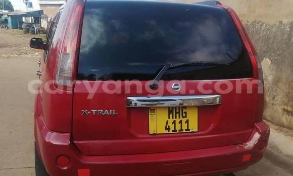Buy Used Nissan X–Trail Red Car in Blantyre in Malawi Buy Used Nissan X–Trail Red Car in Blantyre in Malawi