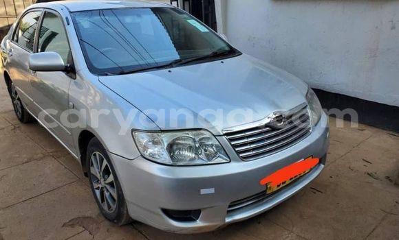 Buy Used Toyota Corolla Silver Car in Blantyre in Malawi Buy Used Toyota Corolla Silver Car in Blantyre in Malawi