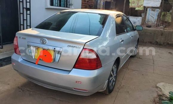 Buy Used Toyota Corolla Silver Car in Blantyre in Malawi Buy Used Toyota Corolla Silver Car in Blantyre in Malawi