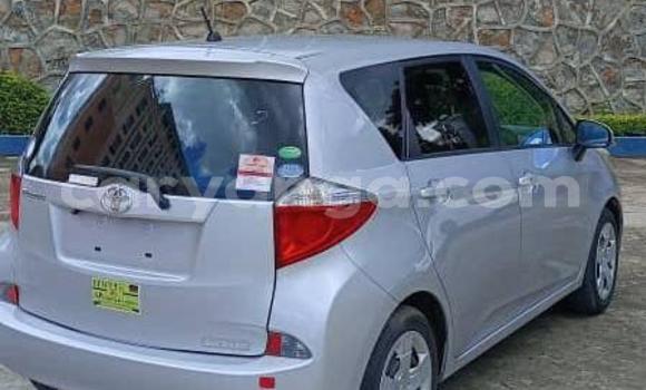 Buy Used Toyota Ractis Silver Car in Blantyre in Malawi Buy Used Toyota Ractis Silver Car in Blantyre in Malawi