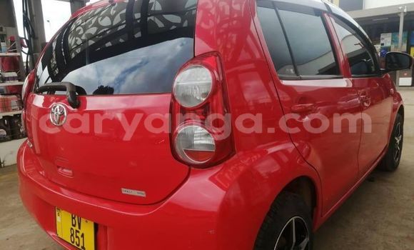 Buy Used Toyota Passo Red Car in Blantyre in Malawi Buy Used Toyota Passo Red Car in Blantyre in Malawi