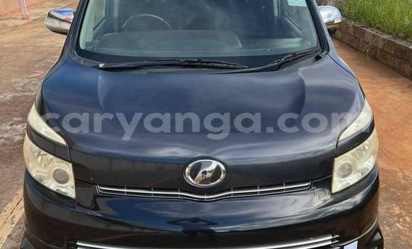 Buy Used Toyota Voxy Blue Car in Blantyre in Malawi Buy Used Toyota Voxy Blue Car in Blantyre in Malawi