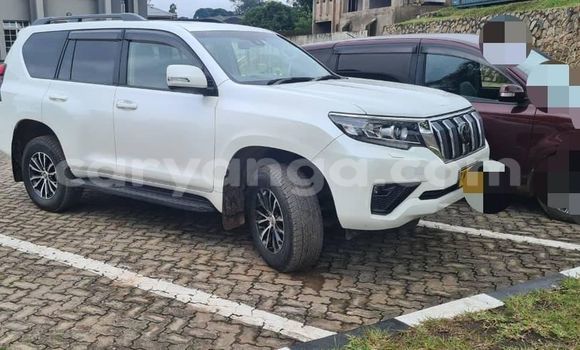 Buy Used Toyota Land Cruiser Prado White Car in Blantyre in Malawi Buy Used Toyota Land Cruiser Prado White Car in Blantyre in Malawi
