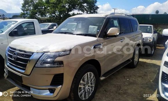 Buy Used Nissan Patrol Brown Car in Blantyre in Malawi Buy Used Nissan Patrol Brown Car in Blantyre in Malawi