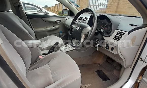 Acheter Occasion Voiture Toyota Axio Gris à Lilongwe, Malawi Acheter Occasion Voiture Toyota Axio Gris à Lilongwe, Malawi