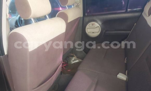 Buy Used Toyota Passo Black Car in Lilongwe in Malawi Buy Used Toyota Passo Black Car in Lilongwe in Malawi