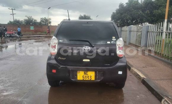 Buy Used Toyota Passo Black Car in Lilongwe in Malawi Buy Used Toyota Passo Black Car in Lilongwe in Malawi