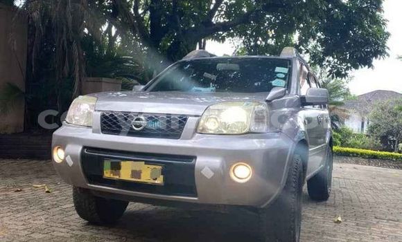 Buy Used Nissan X–Trail Silver Car in Blantyre in Malawi Buy Used Nissan X–Trail Silver Car in Blantyre in Malawi