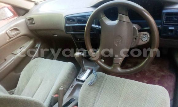 Buy Used Toyota Sprinter White Car in Blantyre in Malawi Buy Used Toyota Sprinter White Car in Blantyre in Malawi