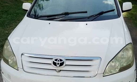 Buy Used Toyota Ipsum White Car in Blantyre in Malawi Buy Used Toyota Ipsum White Car in Blantyre in Malawi
