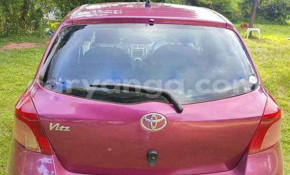 Buy Used Toyota Vitz Red Car in Blantyre in Malawi Buy Used Toyota Vitz Red Car in Blantyre in Malawi