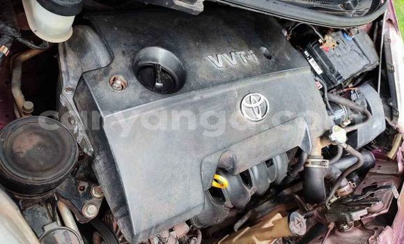 Buy Used Toyota Vitz Red Car in Blantyre in Malawi Buy Used Toyota Vitz Red Car in Blantyre in Malawi
