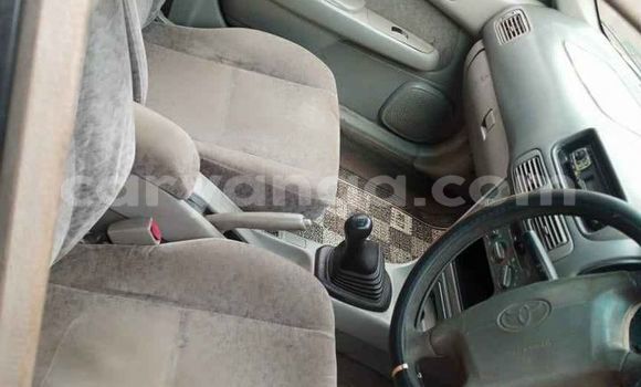 Buy Used Toyota Sprinter Silver Car in Blantyre in Malawi Buy Used Toyota Sprinter Silver Car in Blantyre in Malawi