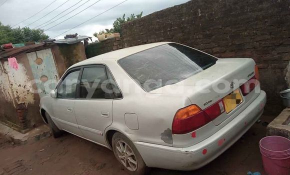 Buy Used Toyota Sprinter Silver Car in Blantyre in Malawi Buy Used Toyota Sprinter Silver Car in Blantyre in Malawi