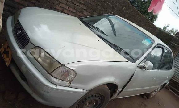 Buy Used Toyota Sprinter Silver Car in Blantyre in Malawi Buy Used Toyota Sprinter Silver Car in Blantyre in Malawi