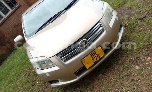 Buy Used Toyota Axio Brown Car in Blantyre in Malawi Buy Used Toyota Axio Brown Car in Blantyre in Malawi