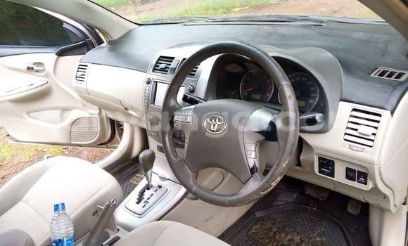 Buy Used Toyota Axio Brown Car in Blantyre in Malawi Buy Used Toyota Axio Brown Car in Blantyre in Malawi