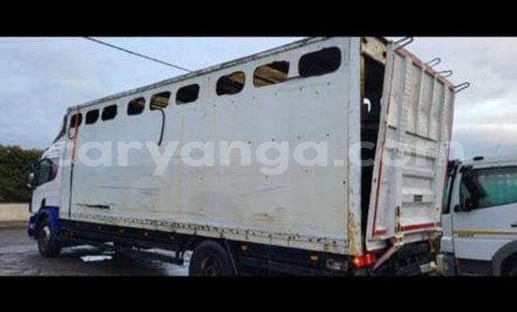 Buy Used Scania 94D White Truck in Lilongwe in Malawi Buy Used Scania 94D White Truck in Lilongwe in Malawi