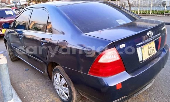 Acheter Occasion Voiture Toyota Corolla Noir à Lilongwe, Malawi Acheter Occasion Voiture Toyota Corolla Noir à Lilongwe, Malawi