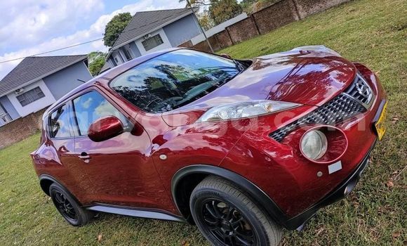 Nunua Ilio tumika Nissan Juke Other Gari ndani ya Lilongwe nchini Malawi Nunua Ilio tumika Nissan Juke Other Gari ndani ya Lilongwe nchini Malawi