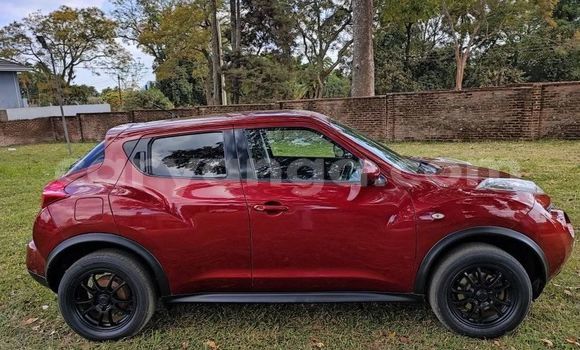 Nunua Ilio tumika Nissan Juke Other Gari ndani ya Lilongwe nchini Malawi Nunua Ilio tumika Nissan Juke Other Gari ndani ya Lilongwe nchini Malawi