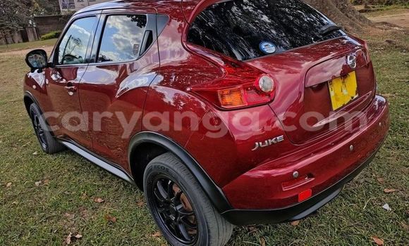 Nunua Ilio tumika Nissan Juke Other Gari ndani ya Lilongwe nchini Malawi Nunua Ilio tumika Nissan Juke Other Gari ndani ya Lilongwe nchini Malawi