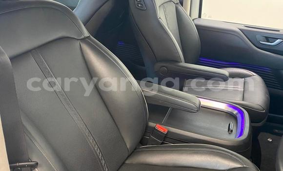 Buy Used Hyundai Starex White Car in Blantyre in Malawi Buy Used Hyundai Starex White Car in Blantyre in Malawi