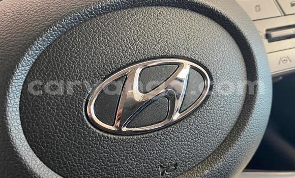 Buy Used Hyundai Starex White Car in Blantyre in Malawi Buy Used Hyundai Starex White Car in Blantyre in Malawi