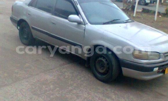 Buy Used Toyota Corolla Black Car in Limbe in Malawi Buy Used Toyota Corolla Black Car in Limbe in Malawi