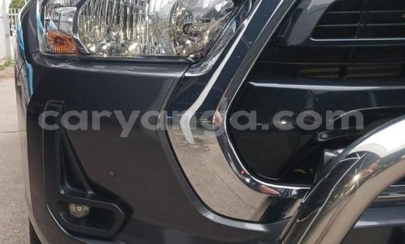 Nunua Ilio tumika Toyota Hilux Black Gari ndani ya Blantyre nchini Malawi Nunua Ilio tumika Toyota Hilux Black Gari ndani ya Blantyre nchini Malawi