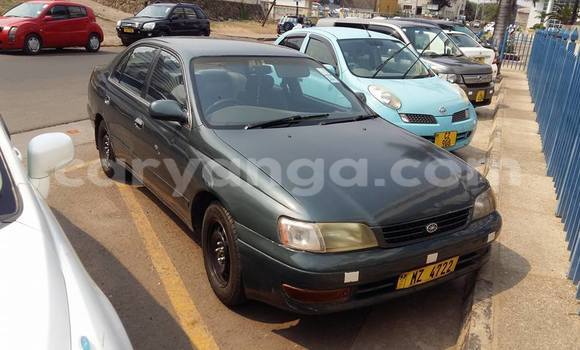 Buy Used Toyota Corolla Black Car in Limbe in Malawi Buy Used Toyota Corolla Black Car in Limbe in Malawi